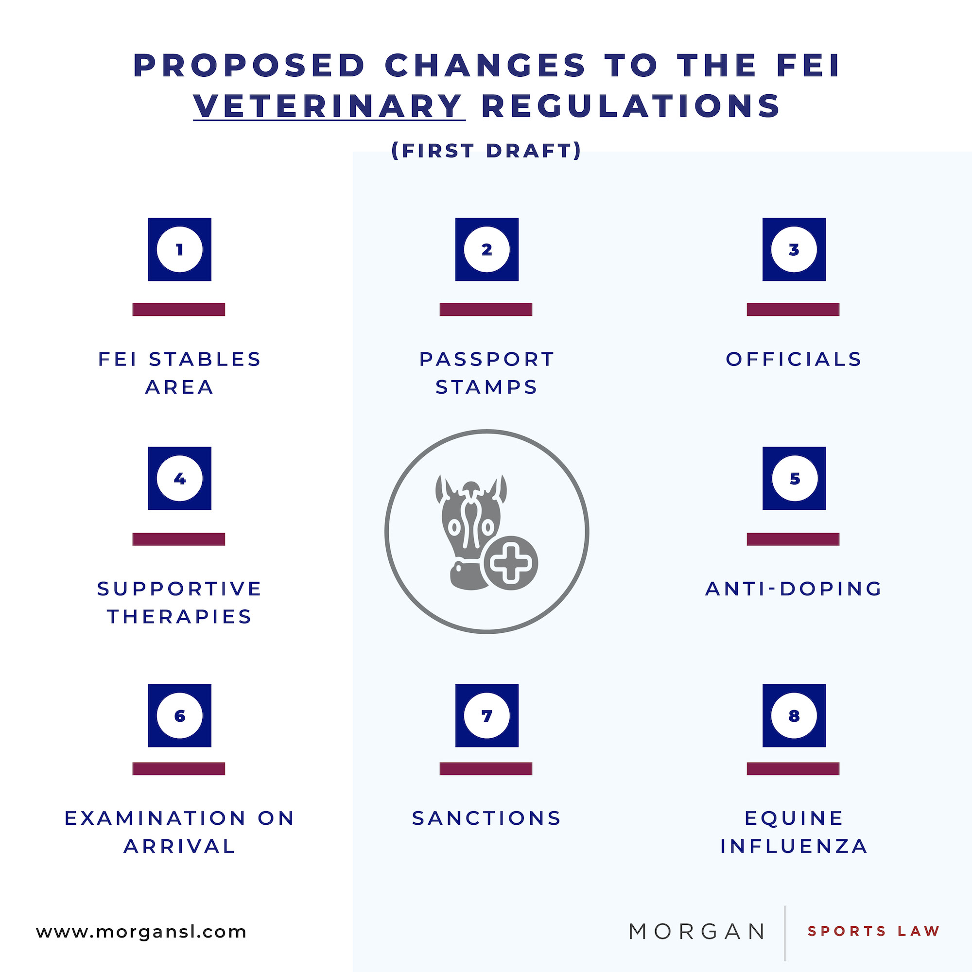 New FEI rules are coming First draft published! Sports Law