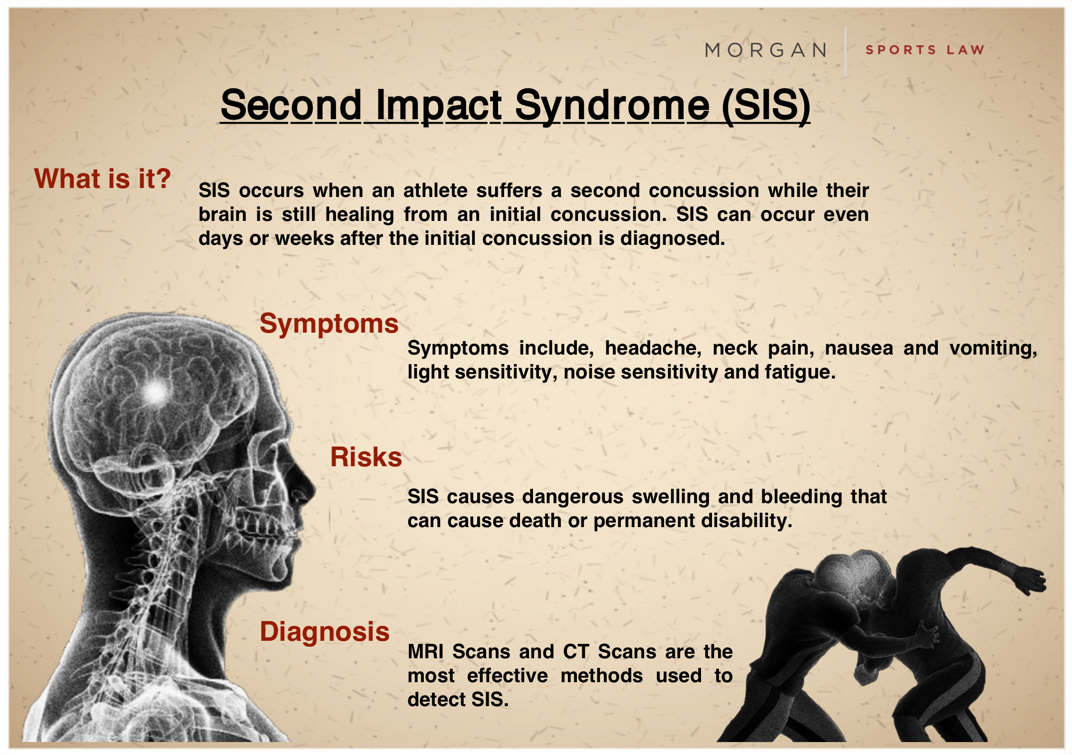 SIS_Infographic (002).jpg